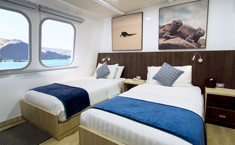 nparadise main deck stateroom Royal Galapagos