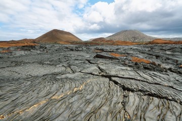 Galapagos: Natural Paradise| 8 day cruise