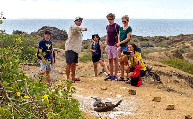 Galapagos Sea Star guided hike to Santa Cruz Island