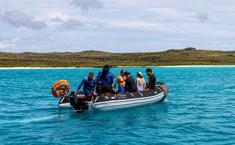 Galapagos Sea star zodiac cruising