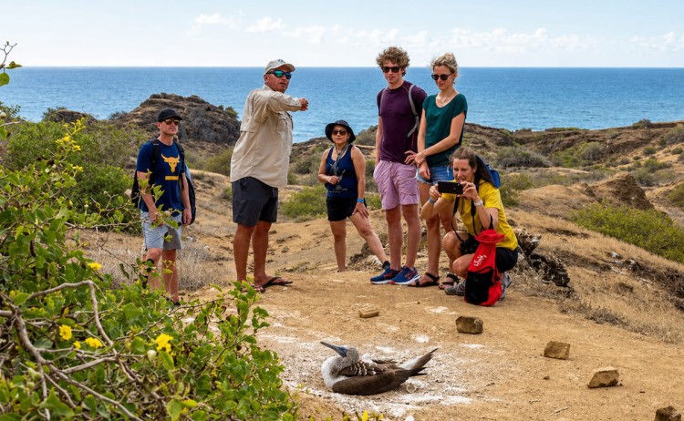 Sea star guided walk in Galapagos