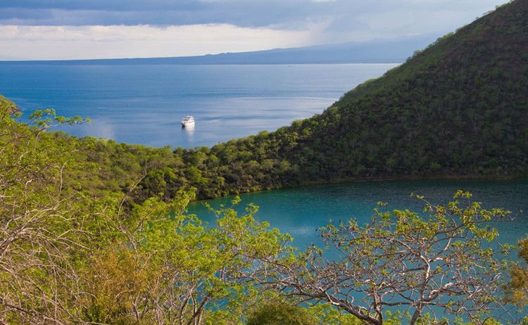 11 Tagus Cove Sea Star Journey