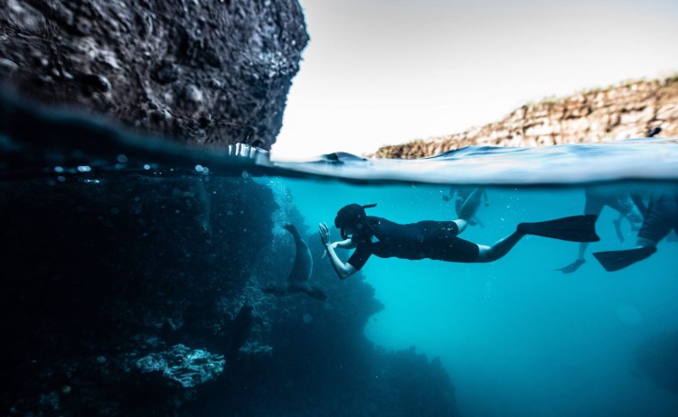 Galapagos Seaman Journey snorkel with marin life