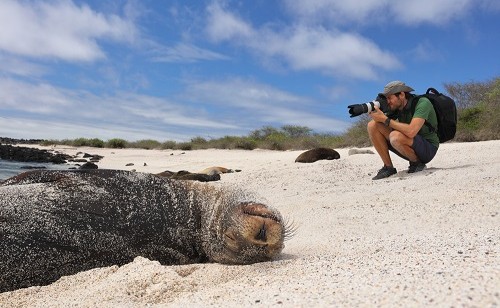 shutterstock 1532984801