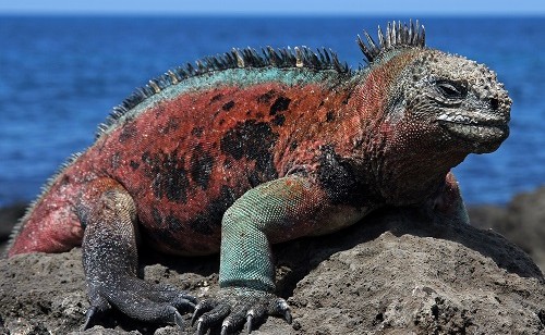 shutterstock 68361082