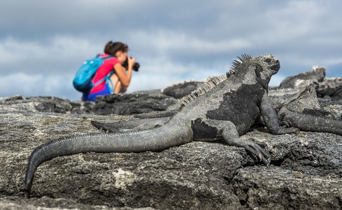 shutterstock 1456577492