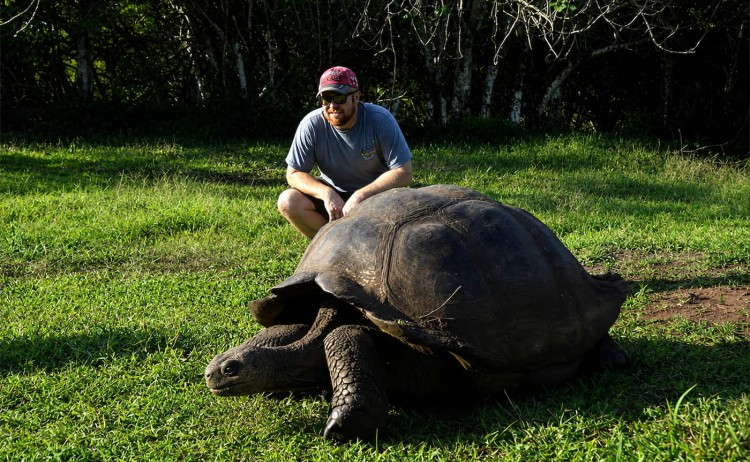 Galaxy Sirius Giant tortoise encounter in Galapagos