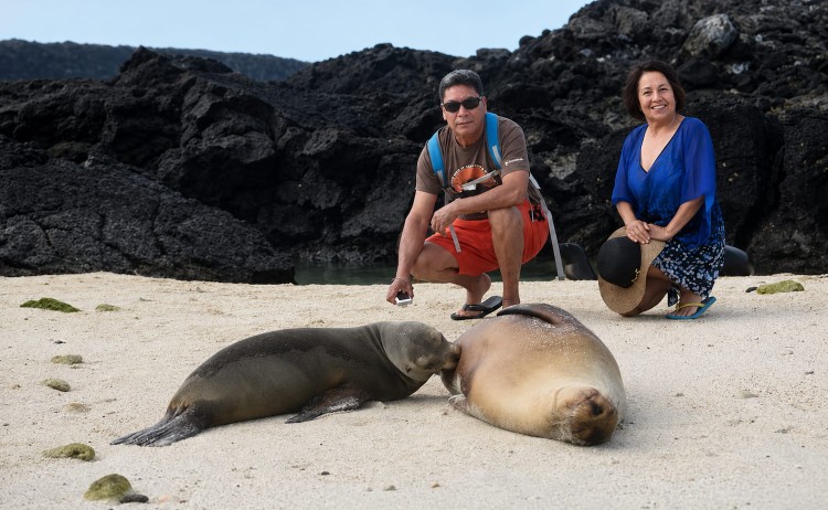 Galaxy Sirius close encounter of Sea lion in Galapagos