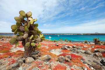 Galapagos: Sirus Galaxy | 5 days