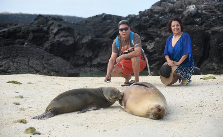 observation1 galaxy sirius