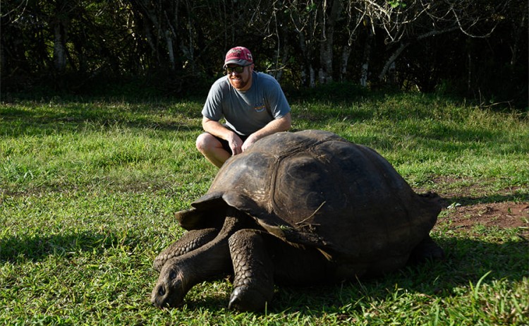 observation3 galaxy sirius