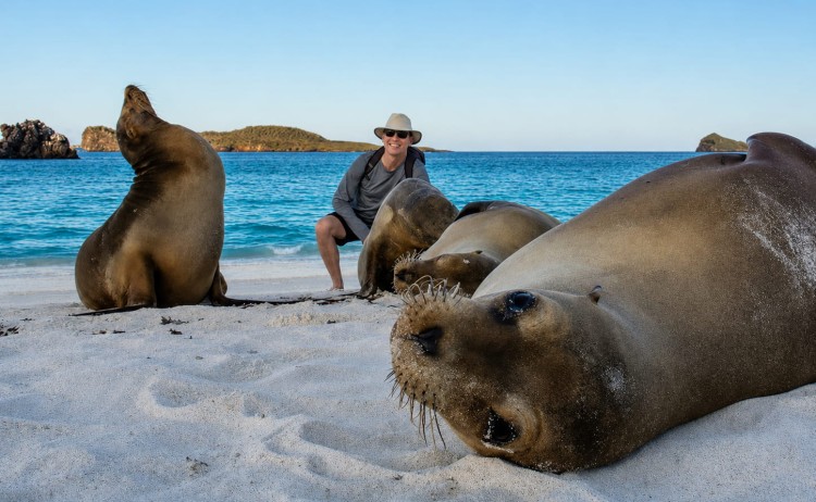 Solaris Sea lions and guest in Gardner bay Galapagos Island