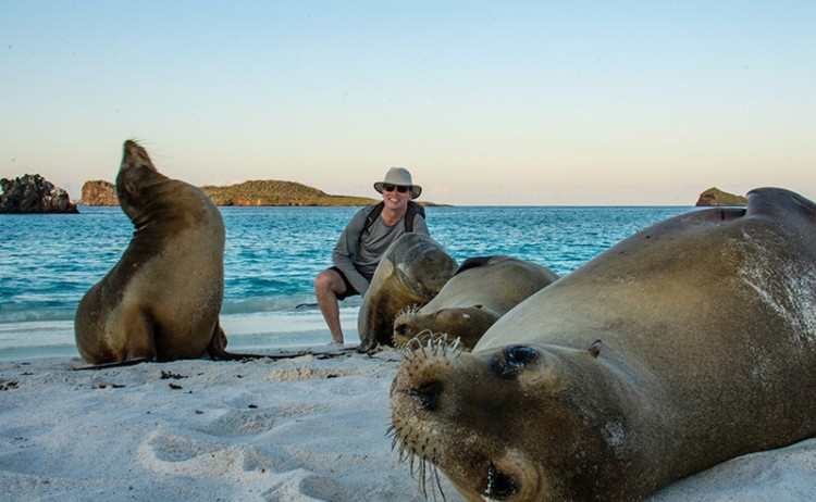sea lions in gardner bay
