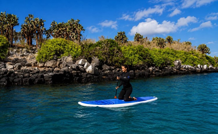 cormorant ii exp paddle royal galapagos