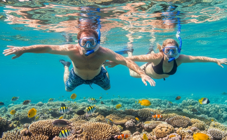 Galaxy zibo snorkelling