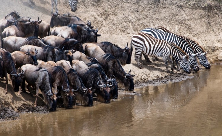 shutterstock 2427835391