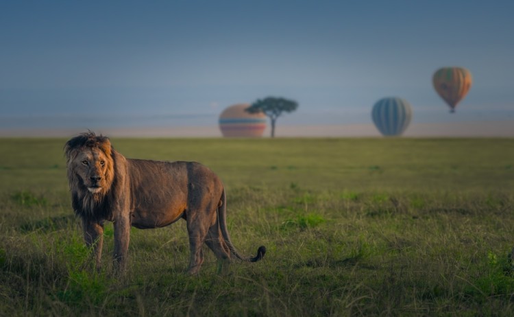 shutterstock 2490459049