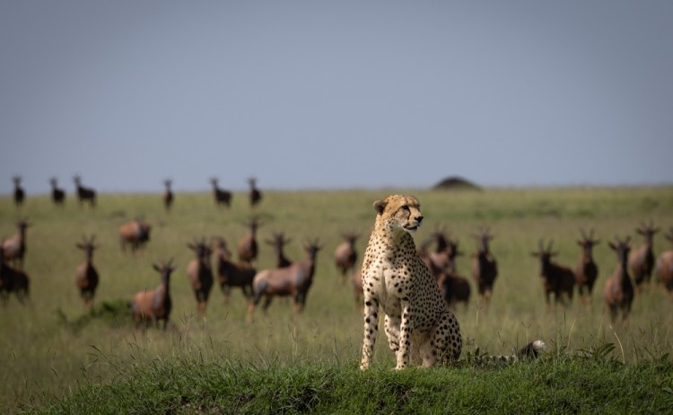 shutterstock 2518764983