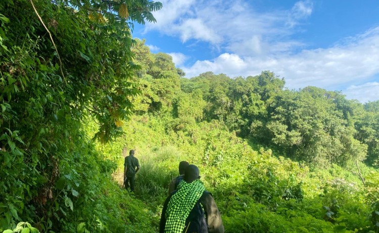 Great Rift trek