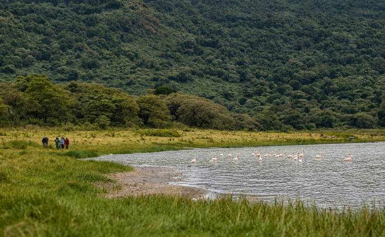 Lake Natron Camp guided trekking safari