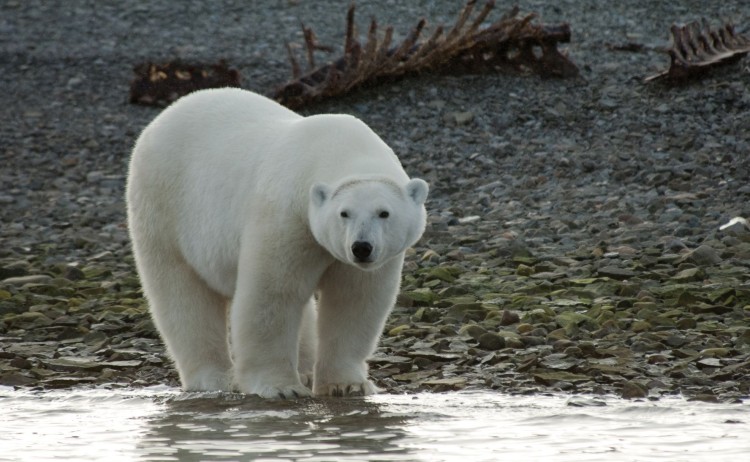 Minty 20120905 114732 copy Dennis MintySM