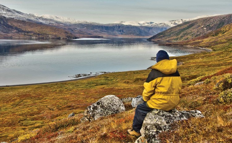The stunning landscape of Greendland Dennis Minty