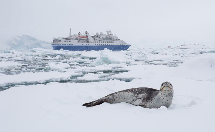 Discoverer exterior with Seals