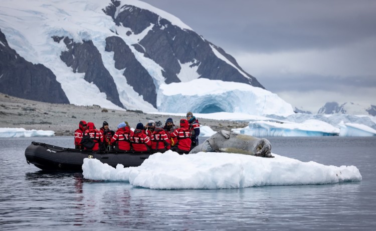 Halal friendly cruise Zodiac cruise at Danco Island charlymauer
