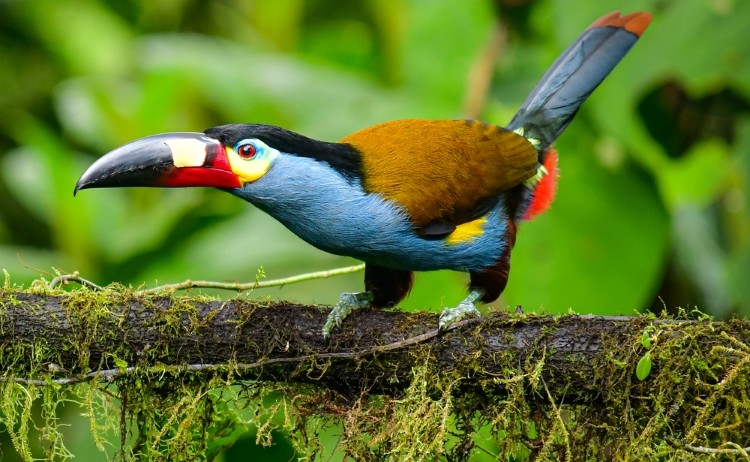 shutterstock 1803347095