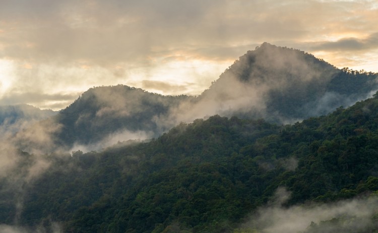 shutterstock 2057288585