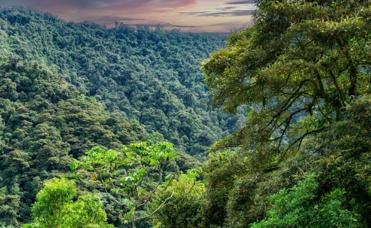 shutterstock 2314047641