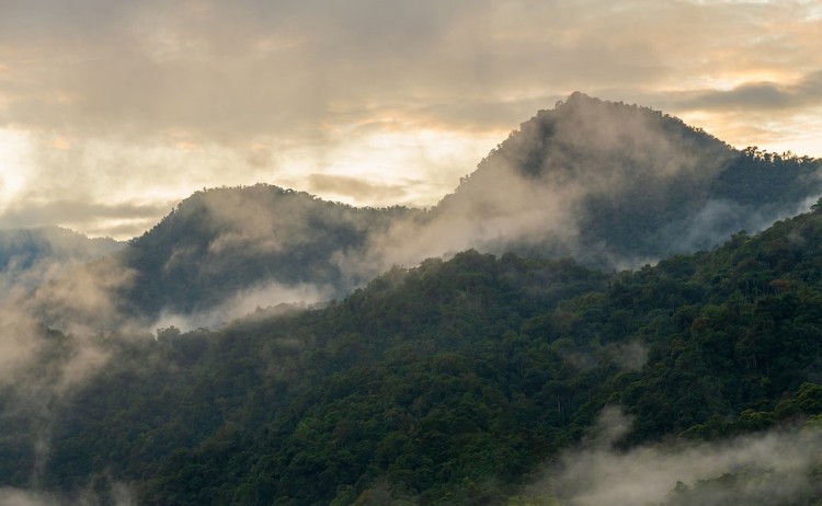 Ecuadors cloud forest