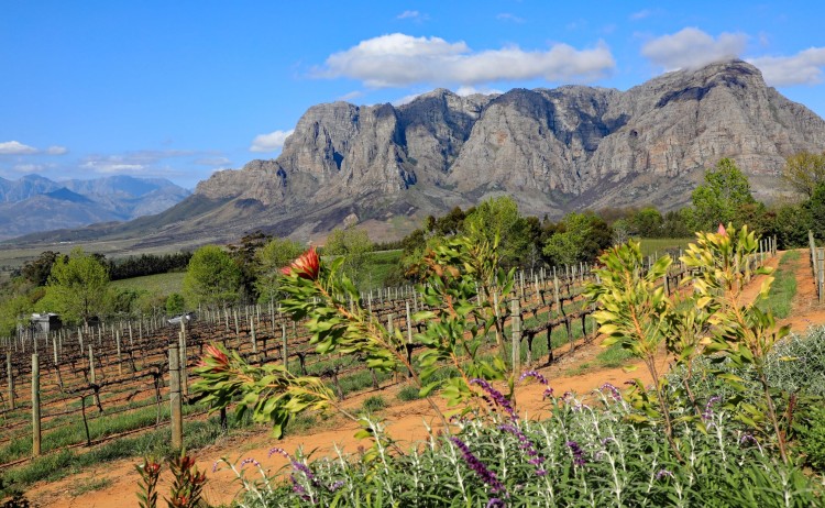 near stellenbosch small