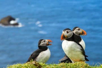 Highlights of Iceland