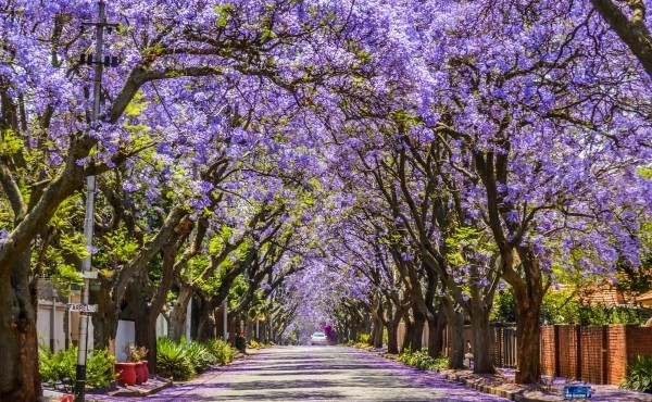 shutterstock 2358276483 small