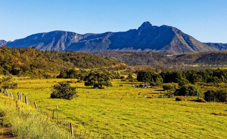 Garden Route tour Langeberg Mountains