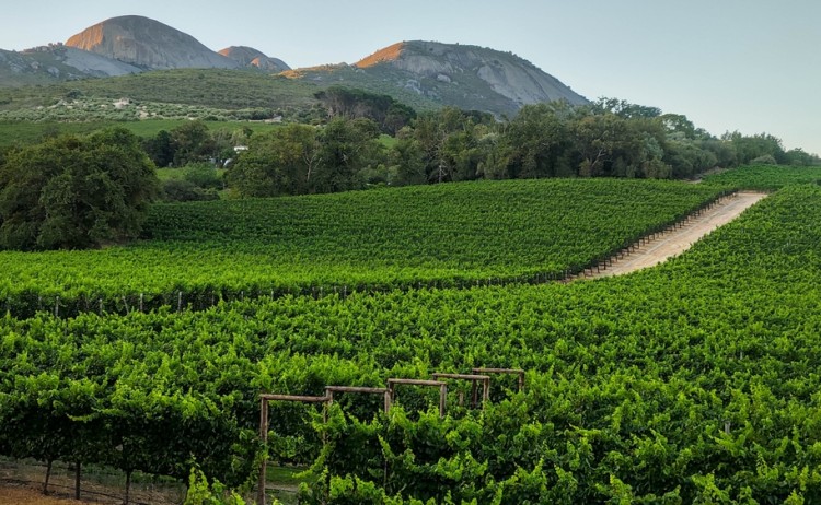 near paarl shutterstock 2291895253