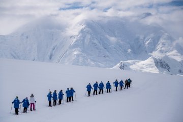 Highlights of the Southern Spring | Antarctica