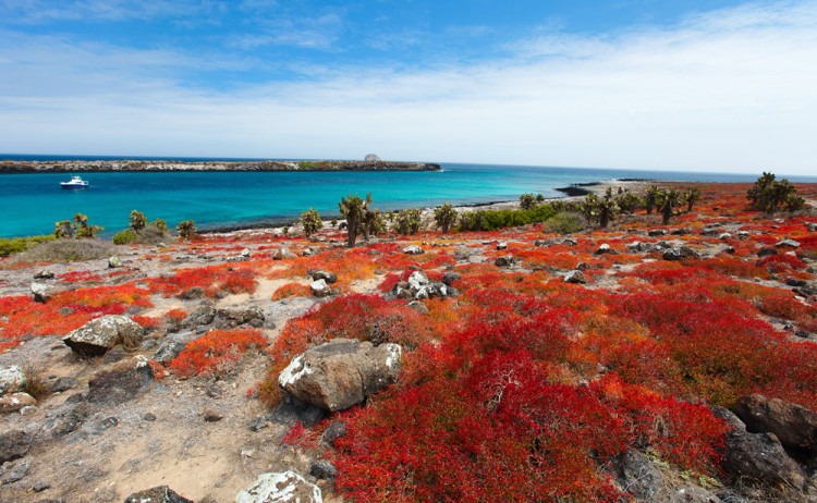 Galapagos Volcanic formation