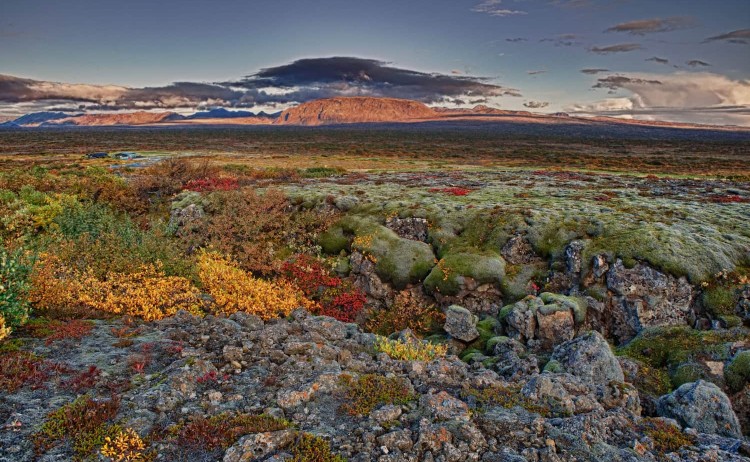 iceland circumnavigation thingvellir scaled