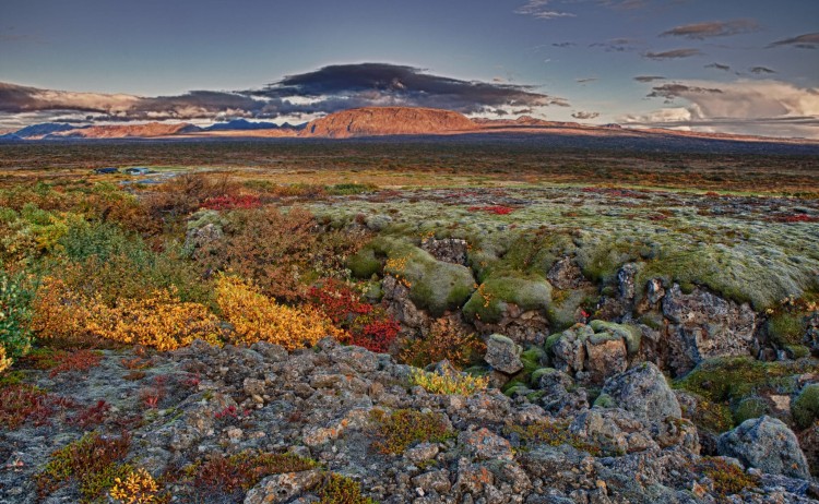 iceland circumnavigation thingvellir scaled