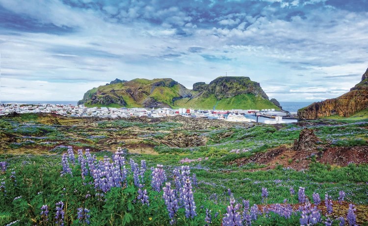iceland circumnavigation westman islands scaled