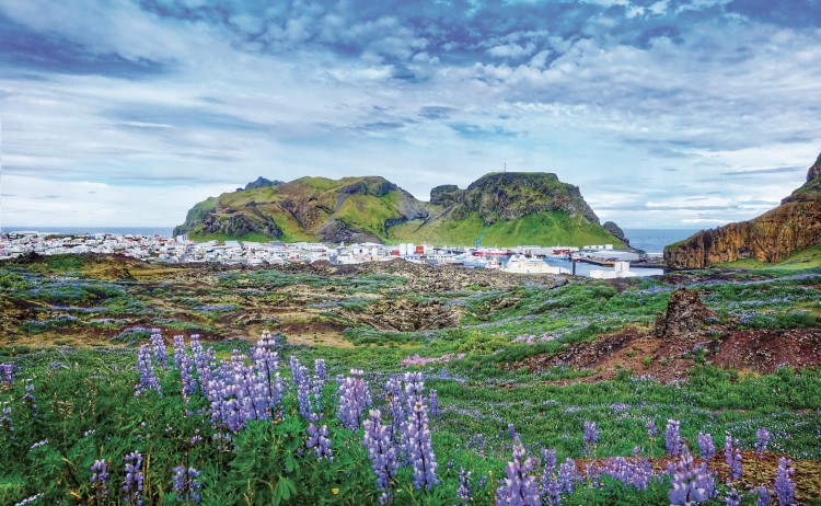 iceland circumnavigation westman islands scaled