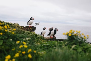 Iceland Circumnavigation | 12 days