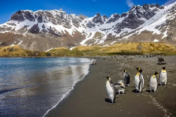 In Shackleton Footsteps