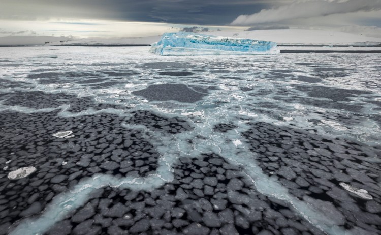 Sea ice Antarctic Sound Antarctica Richard IAnson scaled