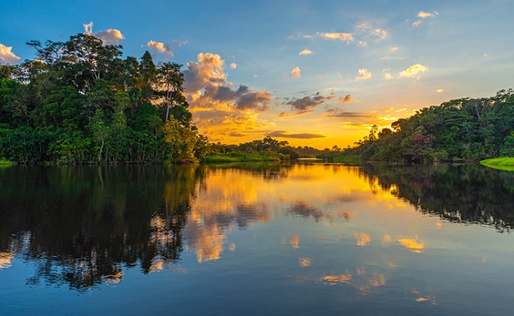 Peruvian Amazon Scenery