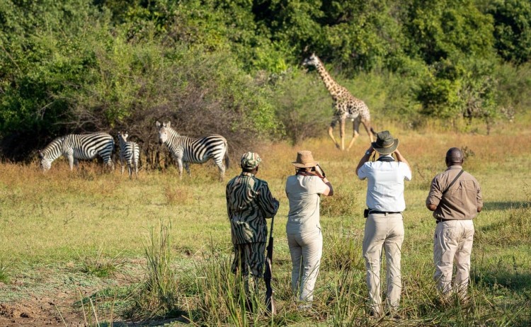 Jewels of Zambiawalking safarin in Luangwa park