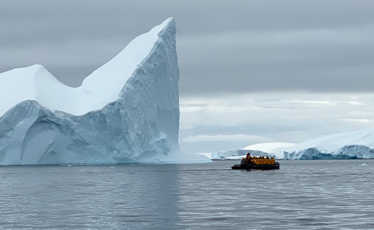 Zodiac iceberg