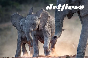 Kenya and Tanzania Wildlife Safari: Small Group